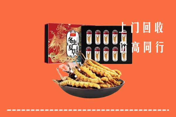 收购行情：青岛回收虫草